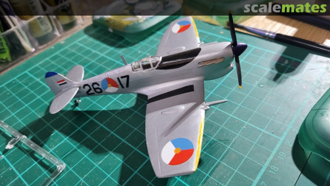 View album, image #12 View album, image #12