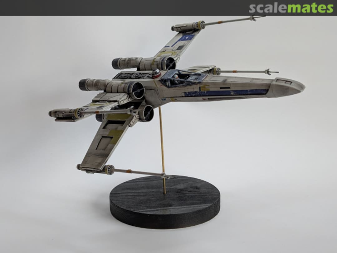 View album, image #43 View album, image #43