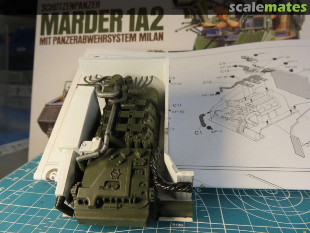 View album, image #1 View album, image #1