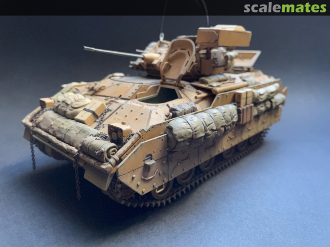 View album, image #1 View album, image #1