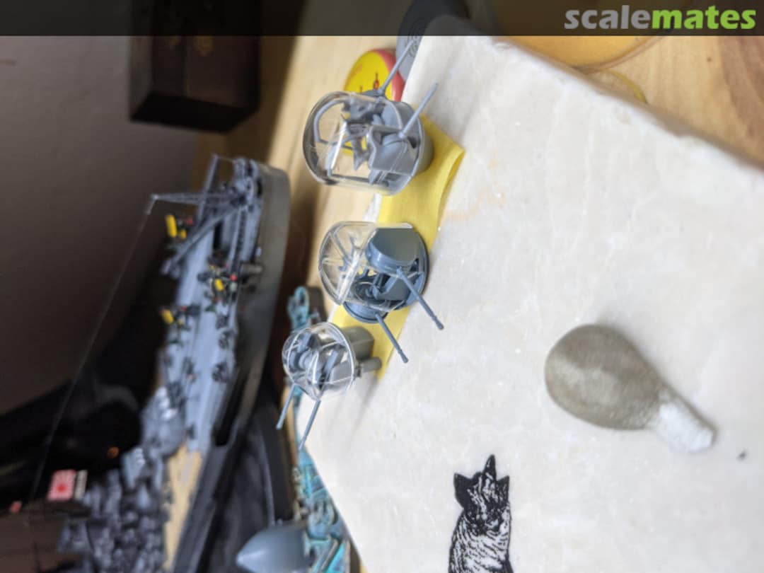 View album, image #1 View album, image #1