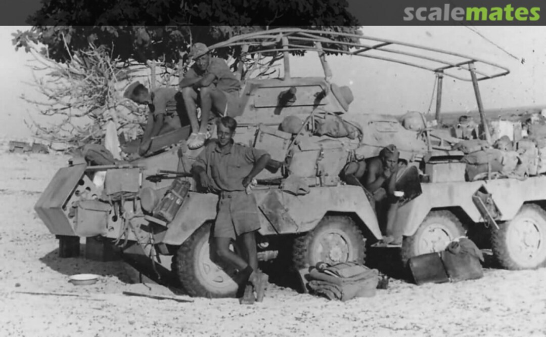 View album, image #1 View album, image #1