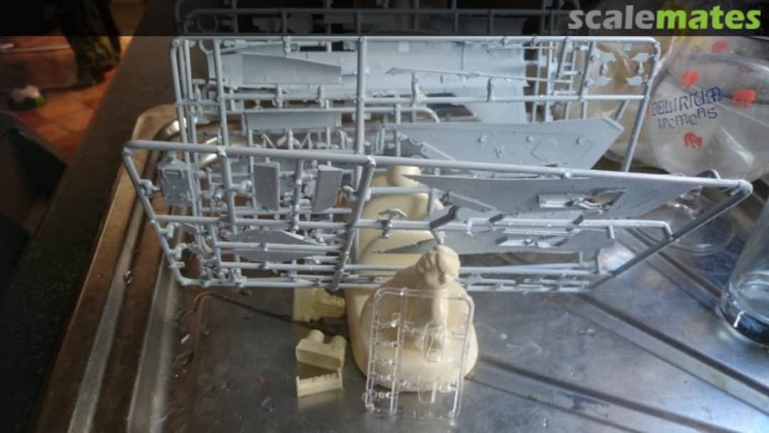 View album, image #1