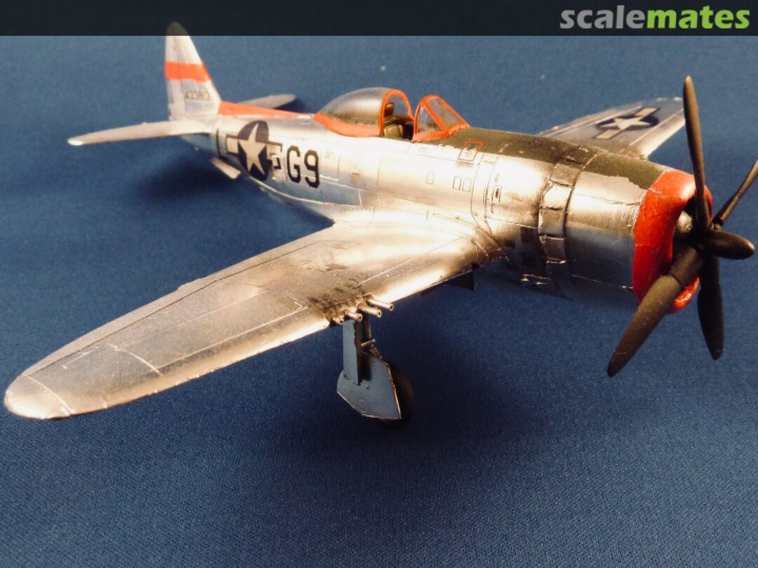 View album, image #12 View album, image #12