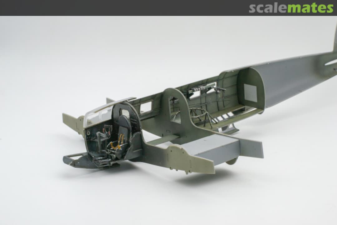 View album, image #1 View album, image #1