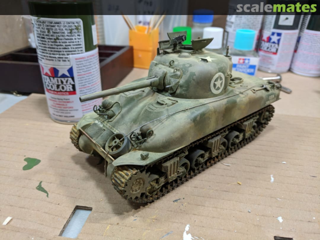 View album, image #14 View album, image #14