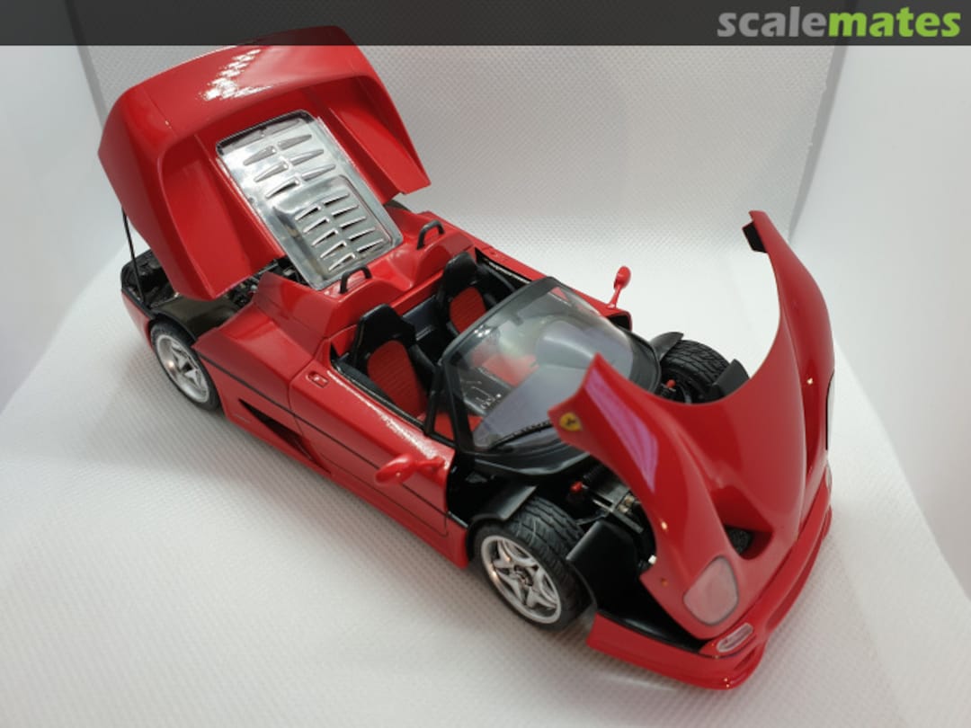 View album, image #102 View album, image #102