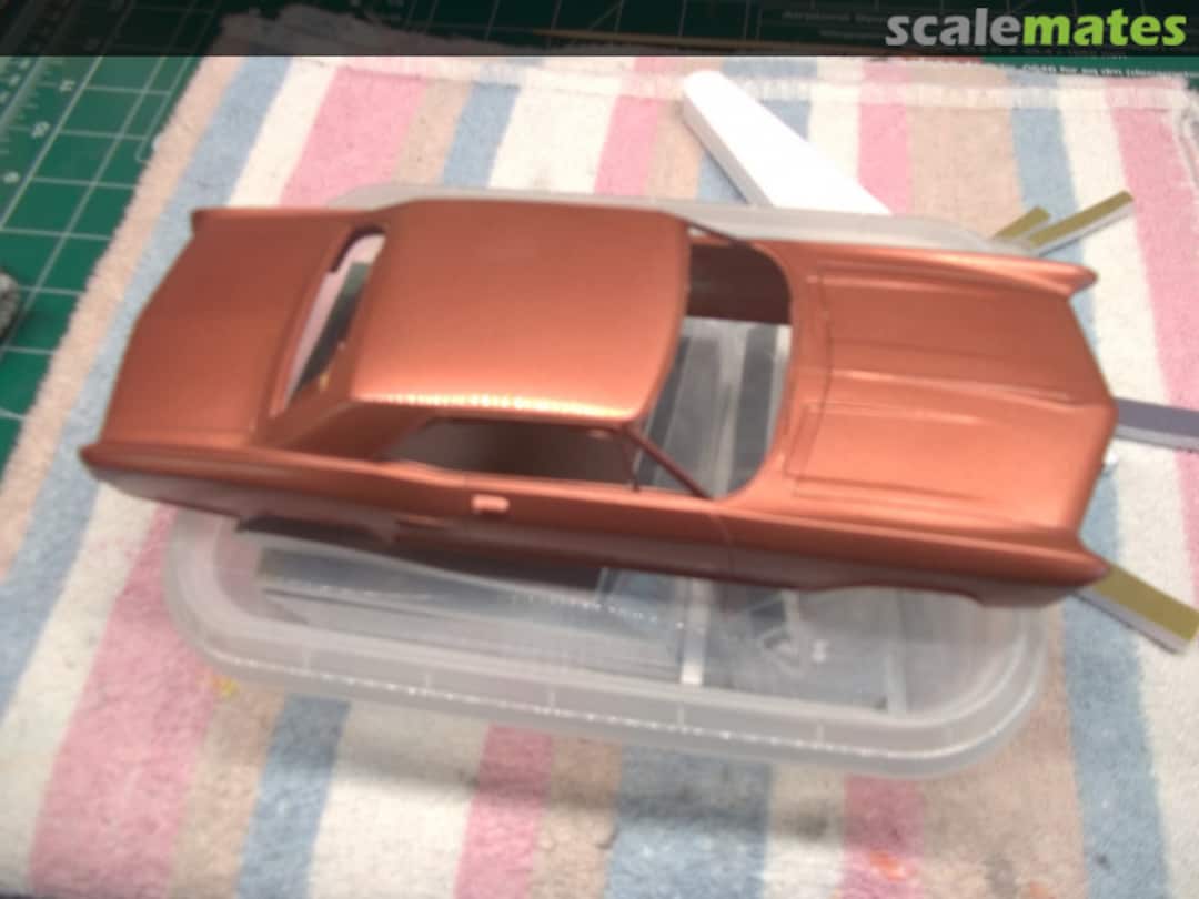 View album, image #1 View album, image #1