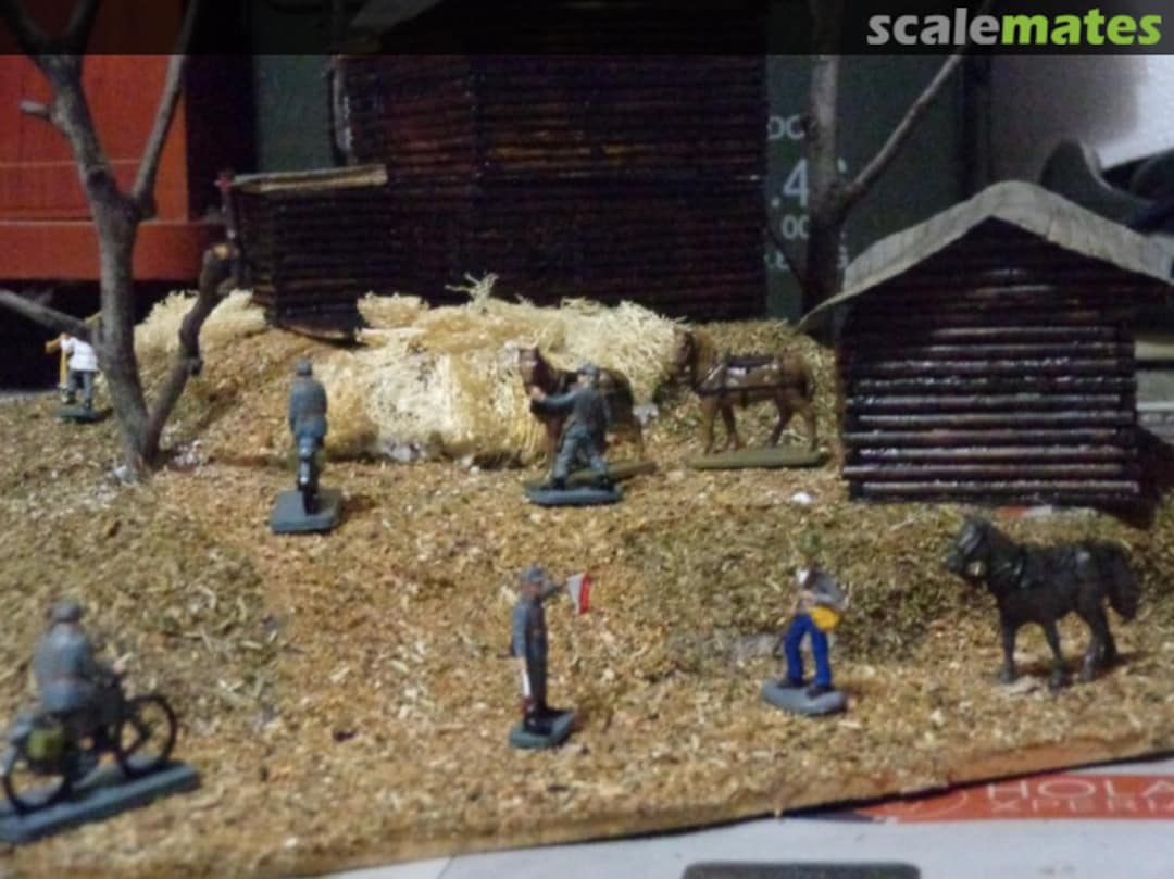 View album, image #1