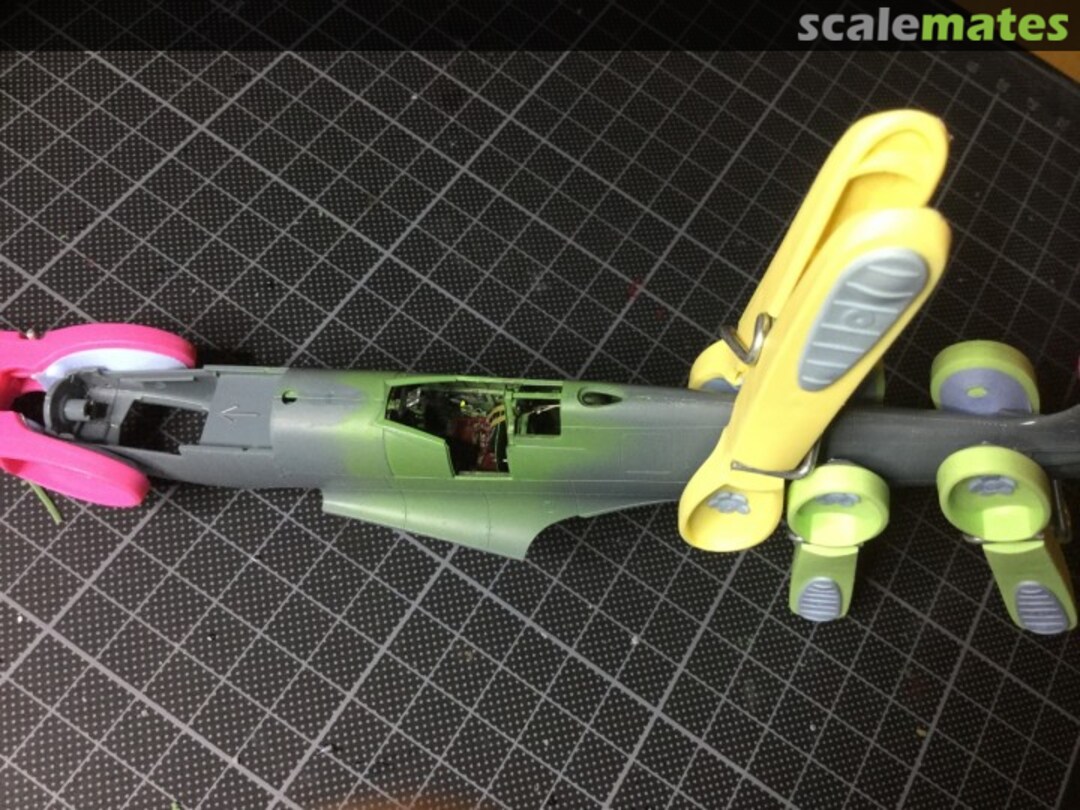 View album, image #1