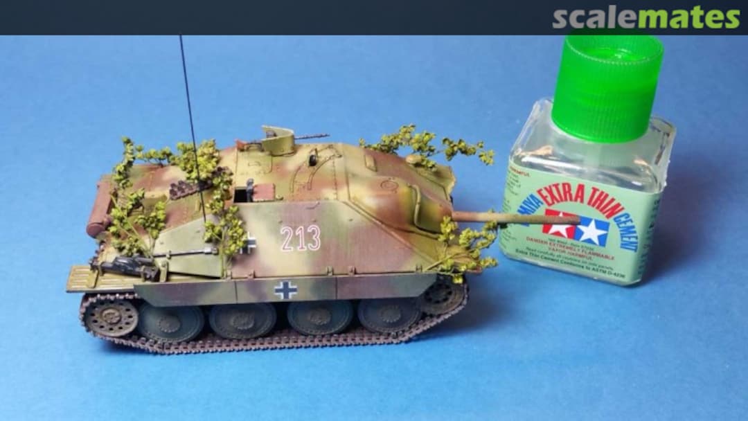 View album, image #1 View album, image #1