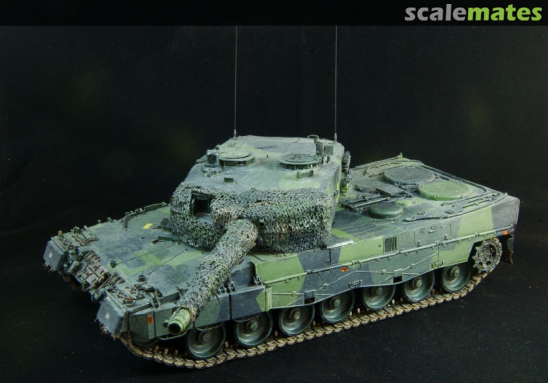 View album, image #1 View album, image #1