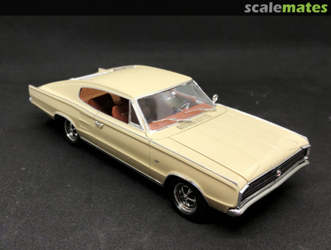 View album, image #1