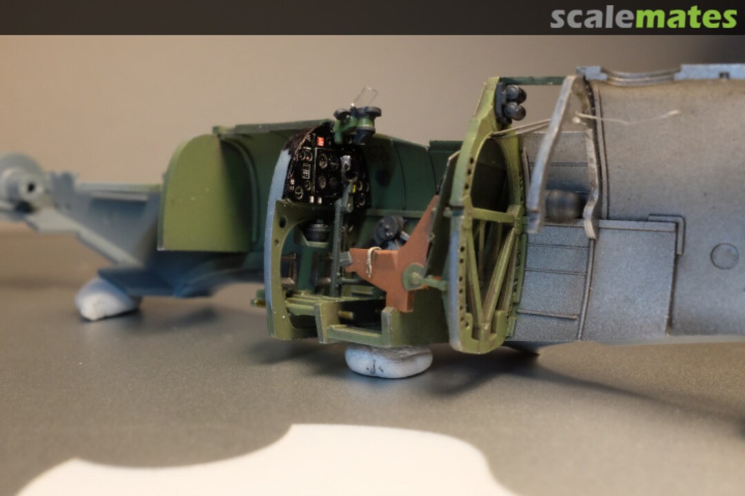 View album, image #1