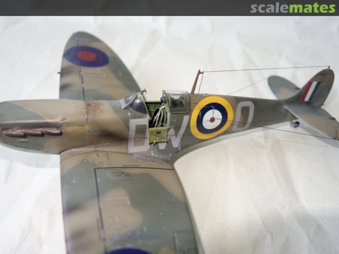 View album, image #17 View album, image #17