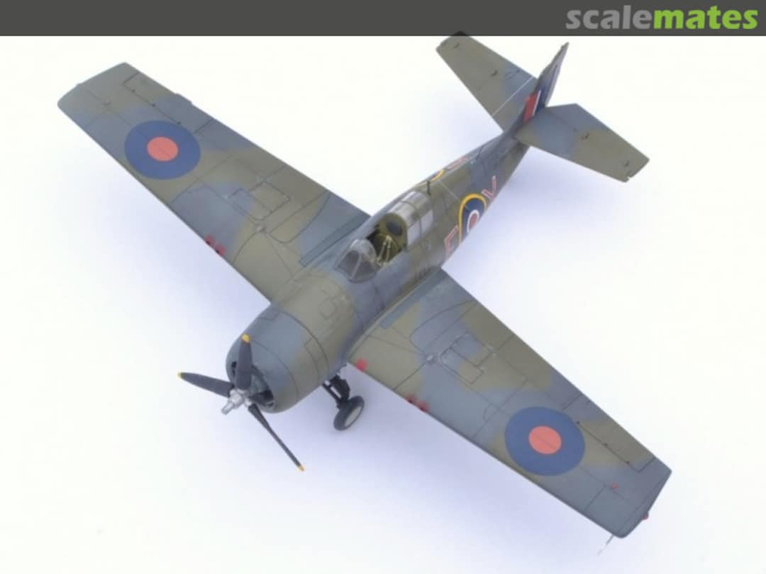 View album, image #8 View album, image #8