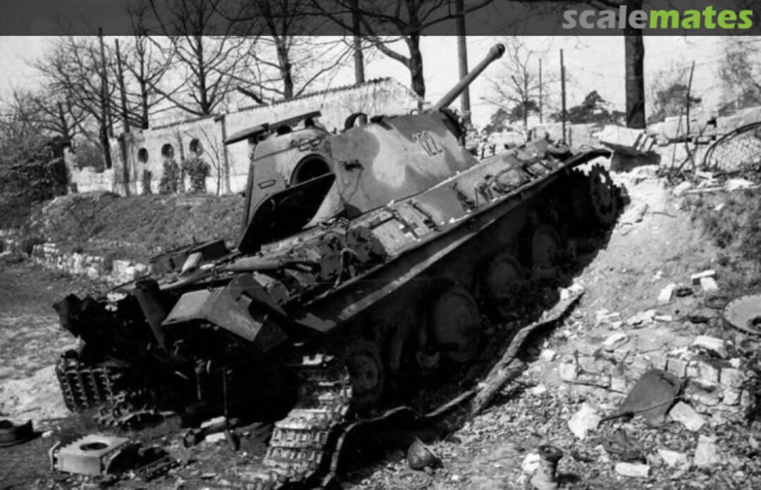 View album, image #1