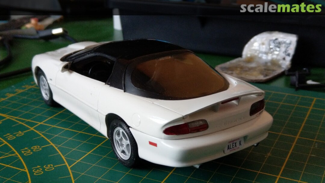 View album, image #33 View album, image #33