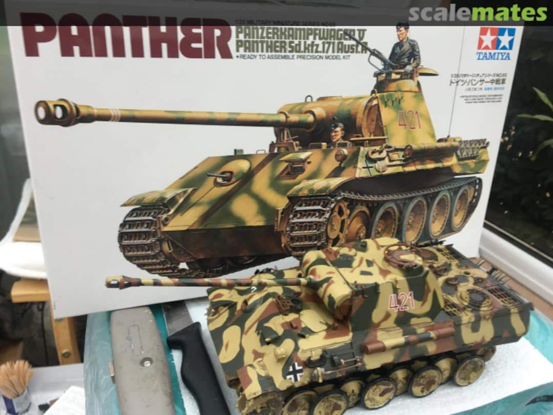 View album, image #1 View album, image #1