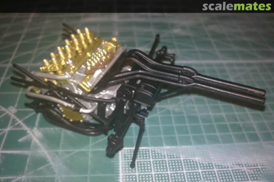 View album, image #1