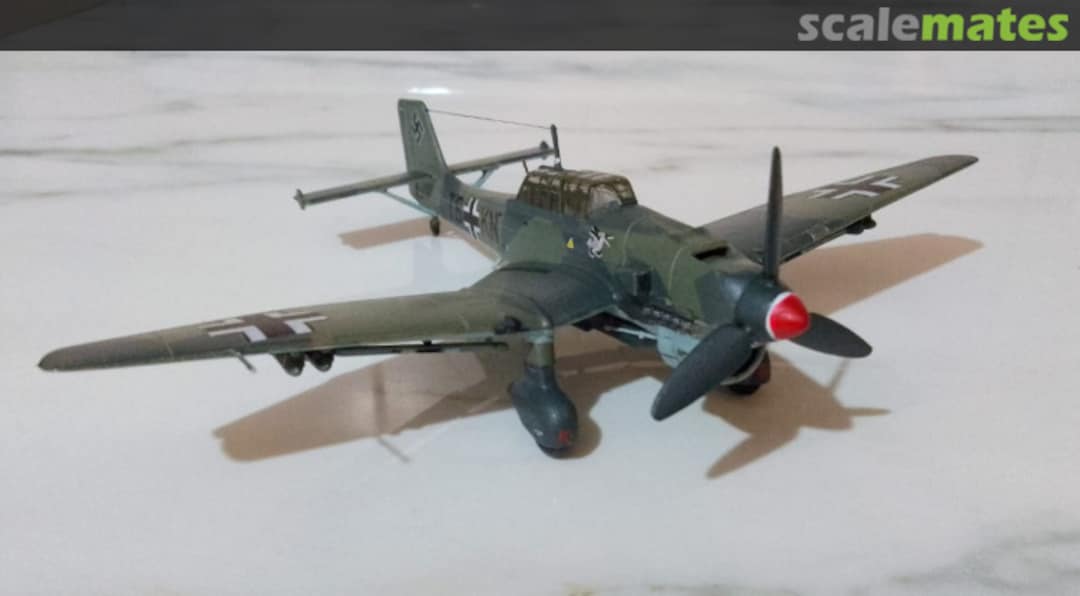 View album, image #1 View album, image #1