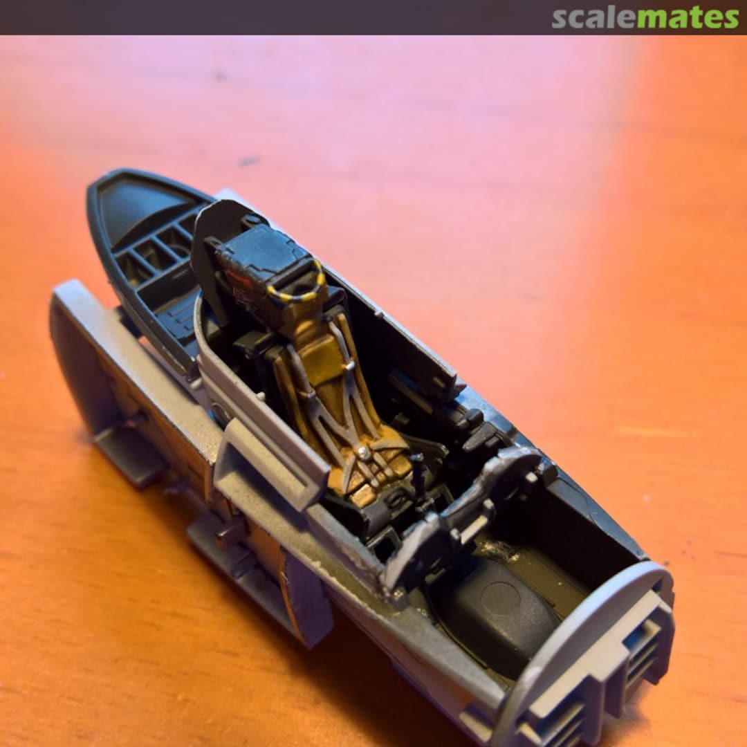 View album, image #1 View album, image #1