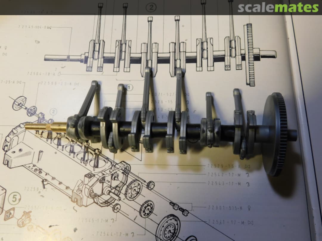 View album, image #1 View album, image #1