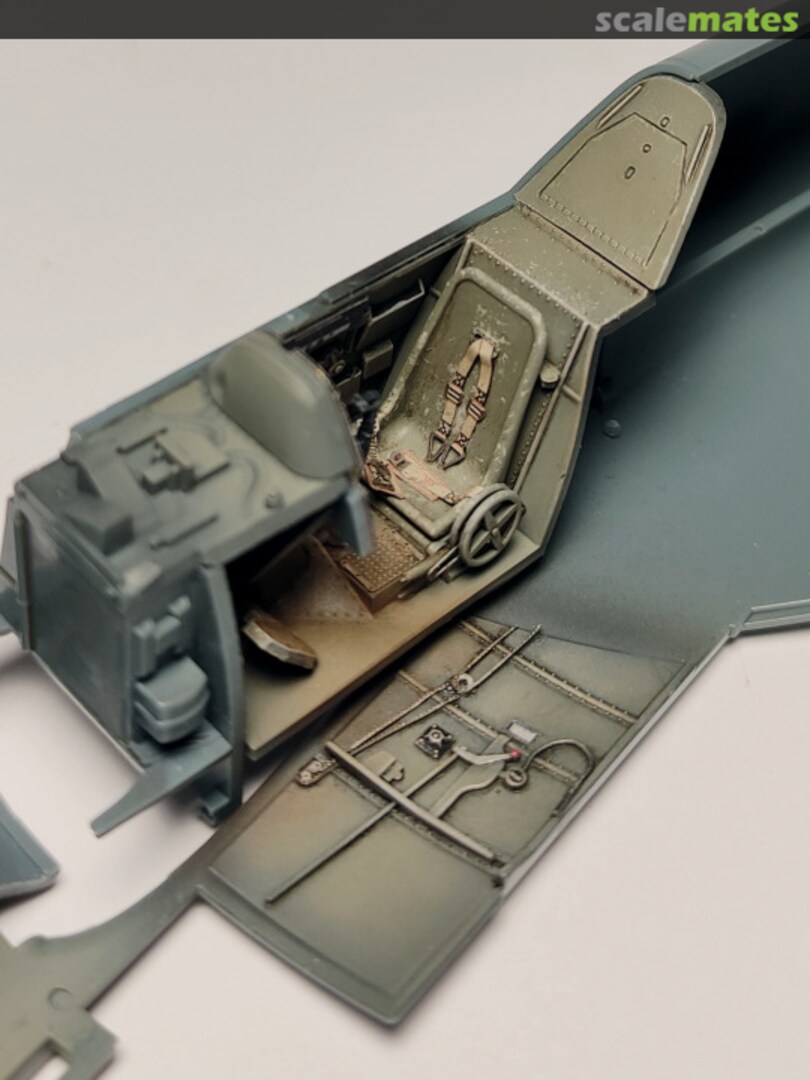 View album, image #1 View album, image #1