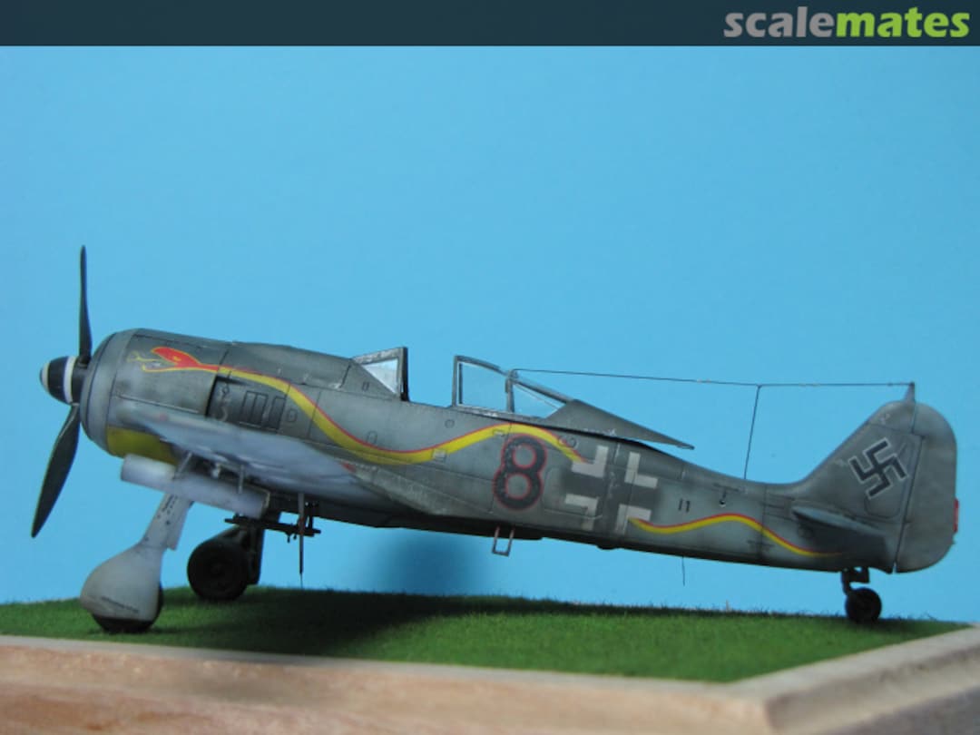 View album, image #1 View album, image #1