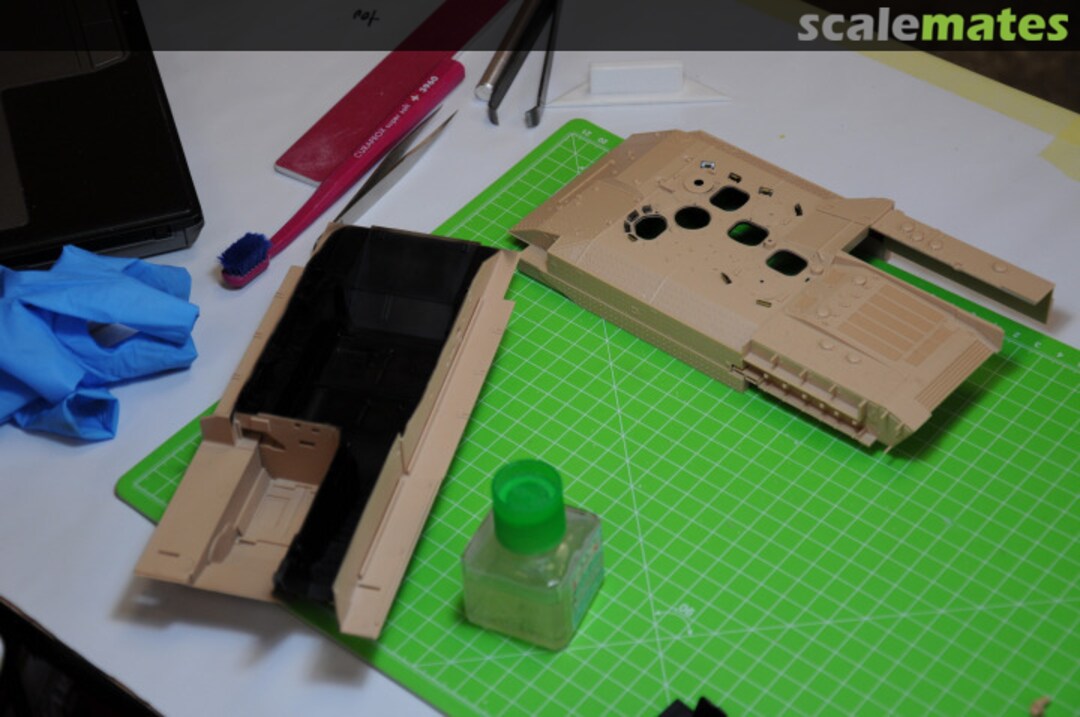 View album, image #1 View album, image #1