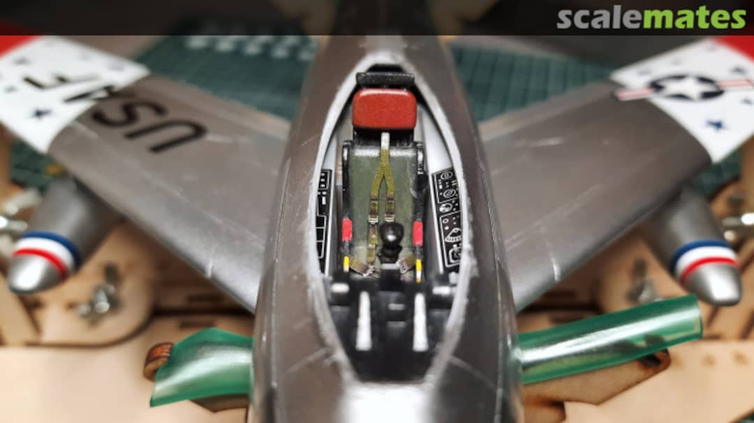 View album, image #8 View album, image #8