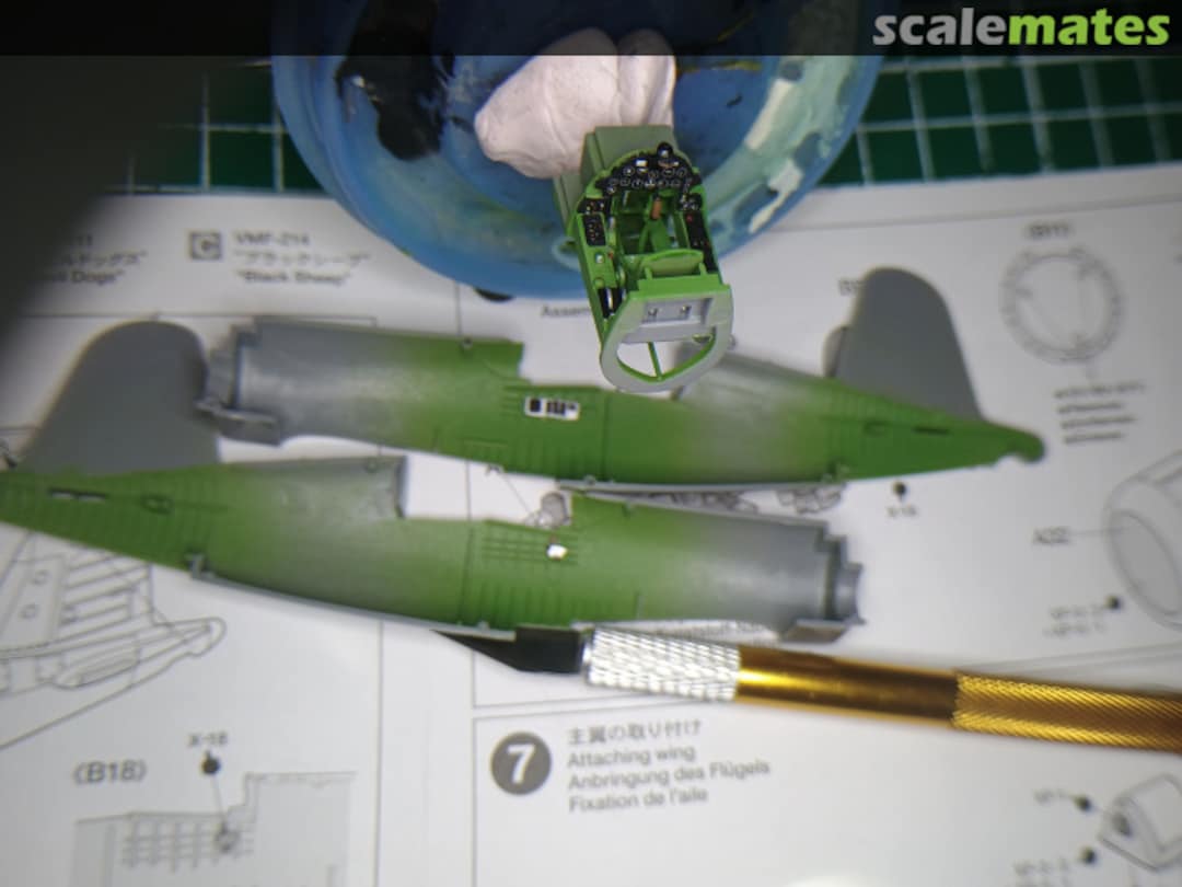 View album, image #1 View album, image #1