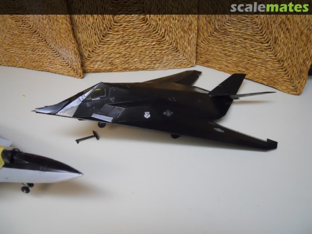 View album, image #1 View album, image #1