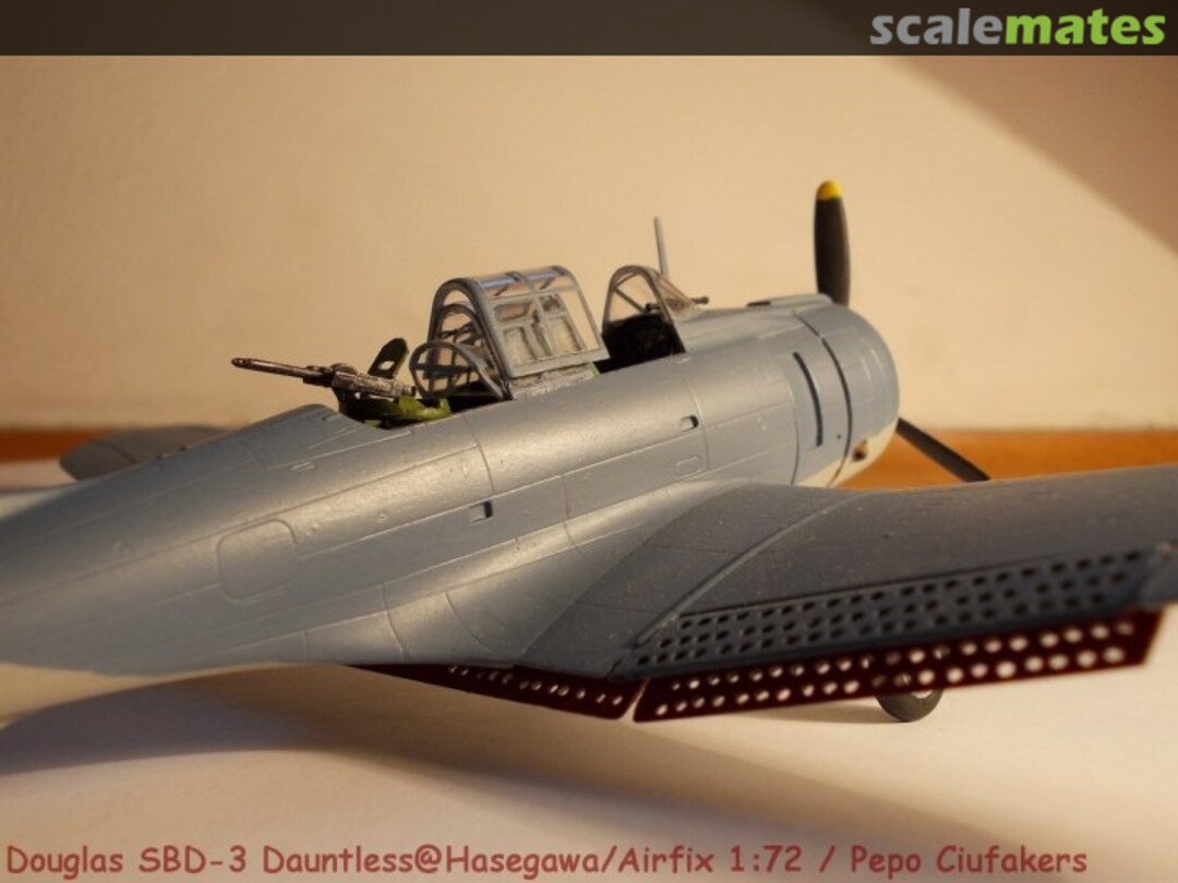 View album, image #13 View album, image #13