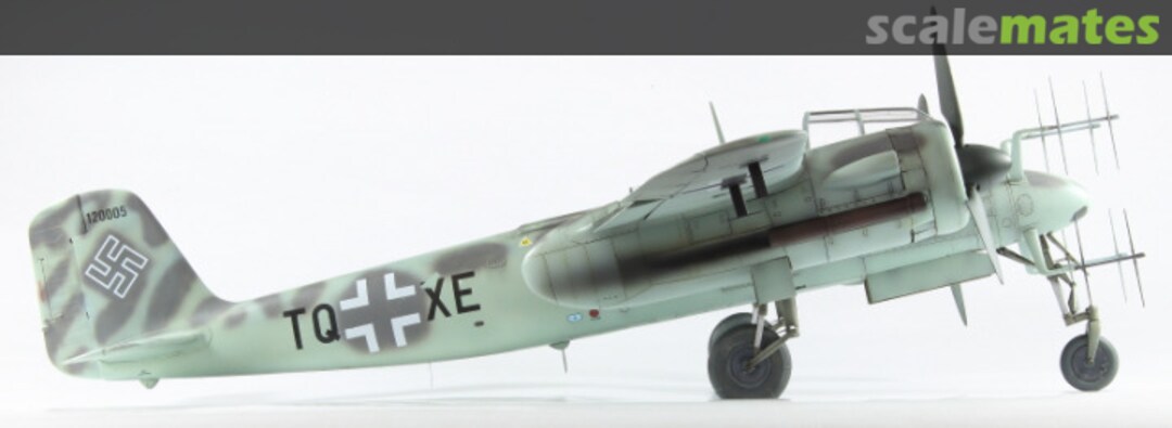 View album, image #1 View album, image #1