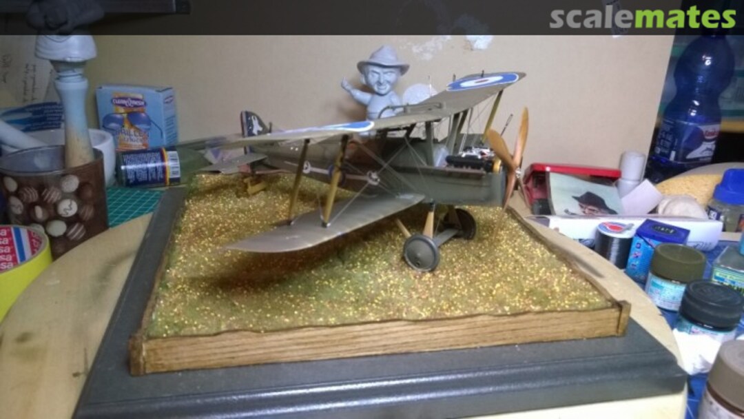 View album, image #92 View album, image #92