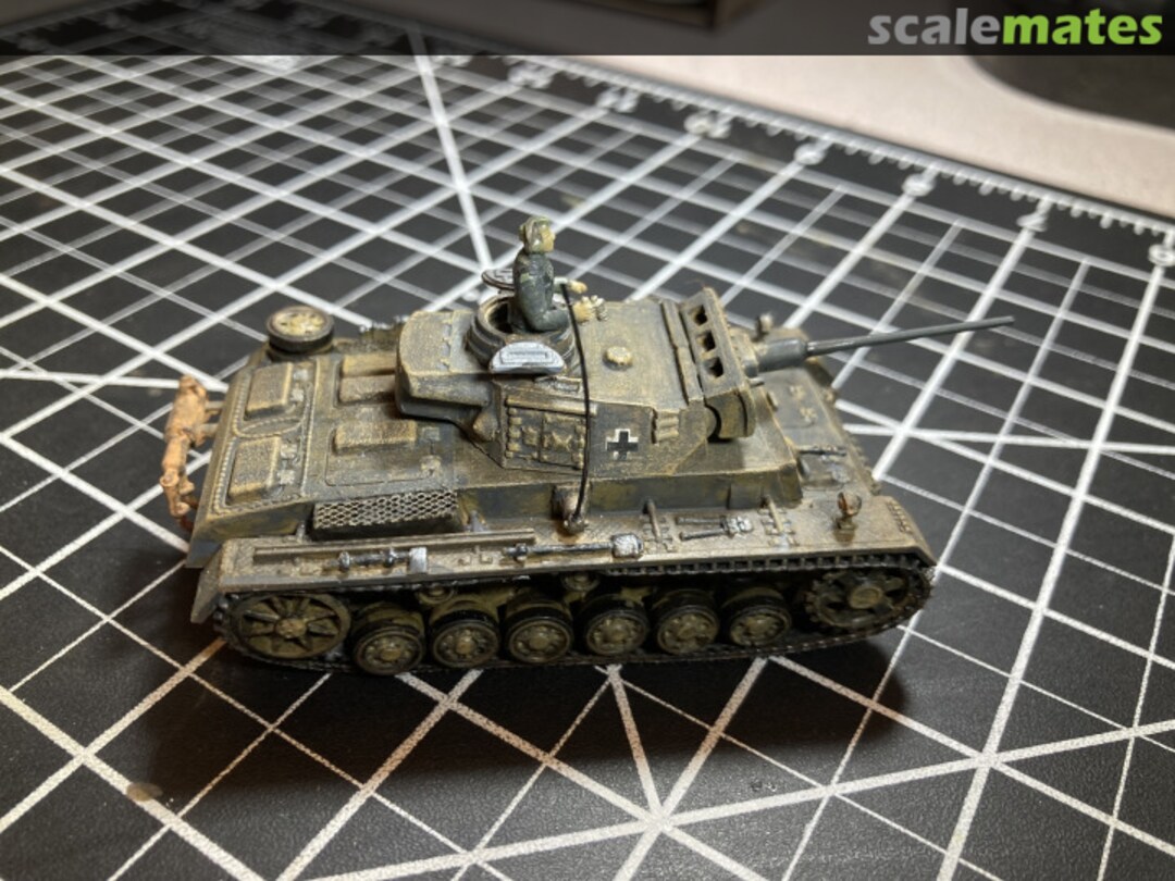 View album, image #1 View album, image #1