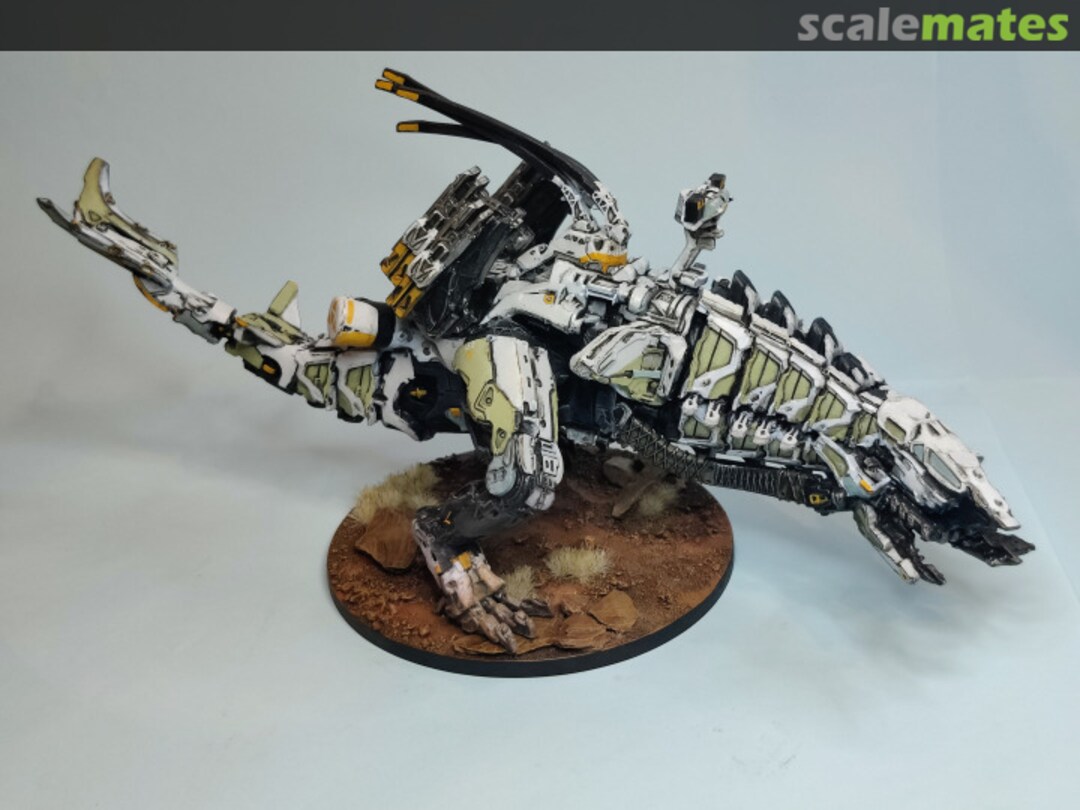 View album, image #12 View album, image #12