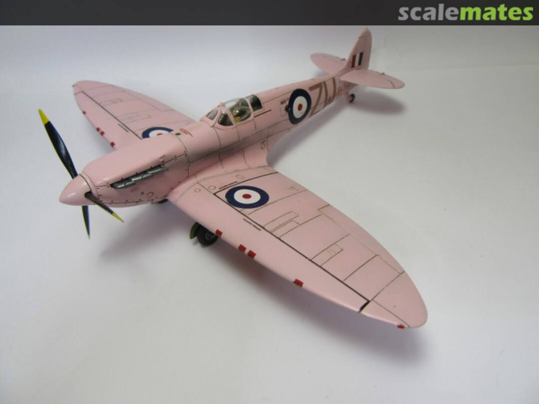 View album, image #1 View album, image #1