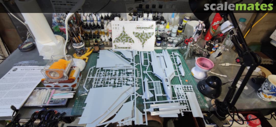 View album, image #1 View album, image #1