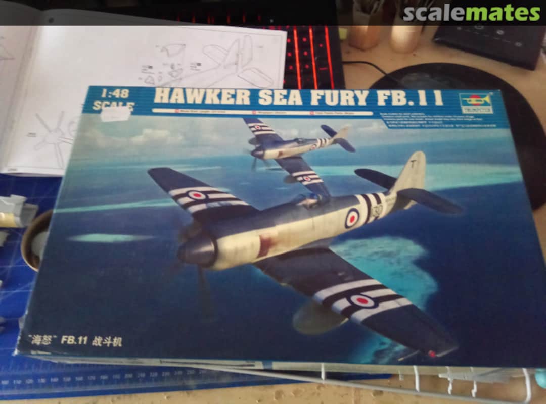 View album, image #1