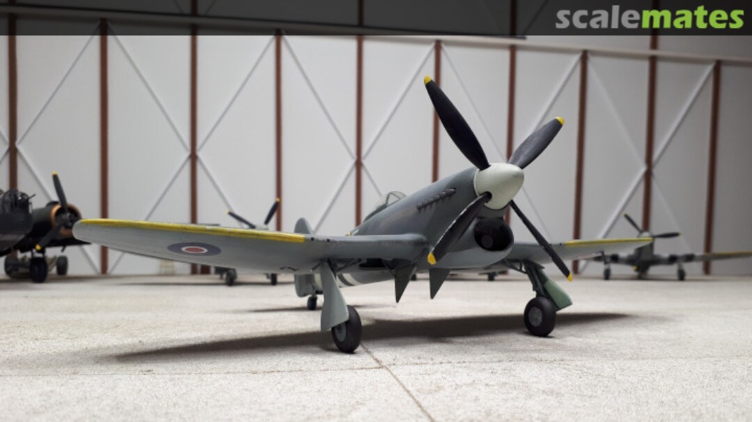 View album, image #4 View album, image #4