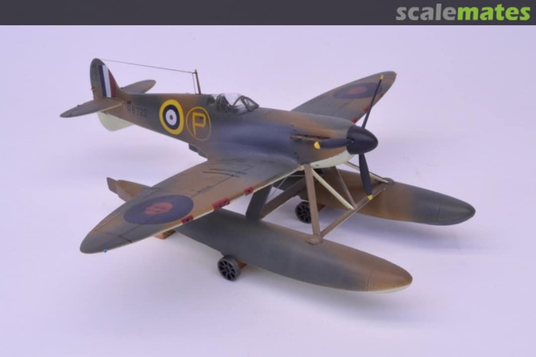 View album, image #1 View album, image #1