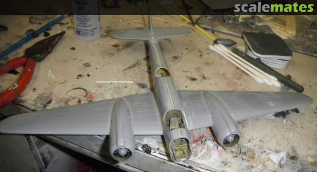 View album, image #1 View album, image #1