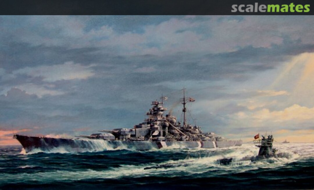 View album, image #1 View album, image #1