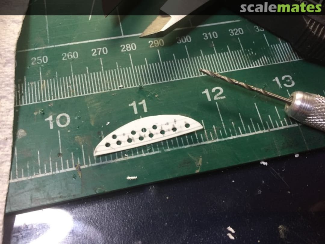 View album, image #1 View album, image #1