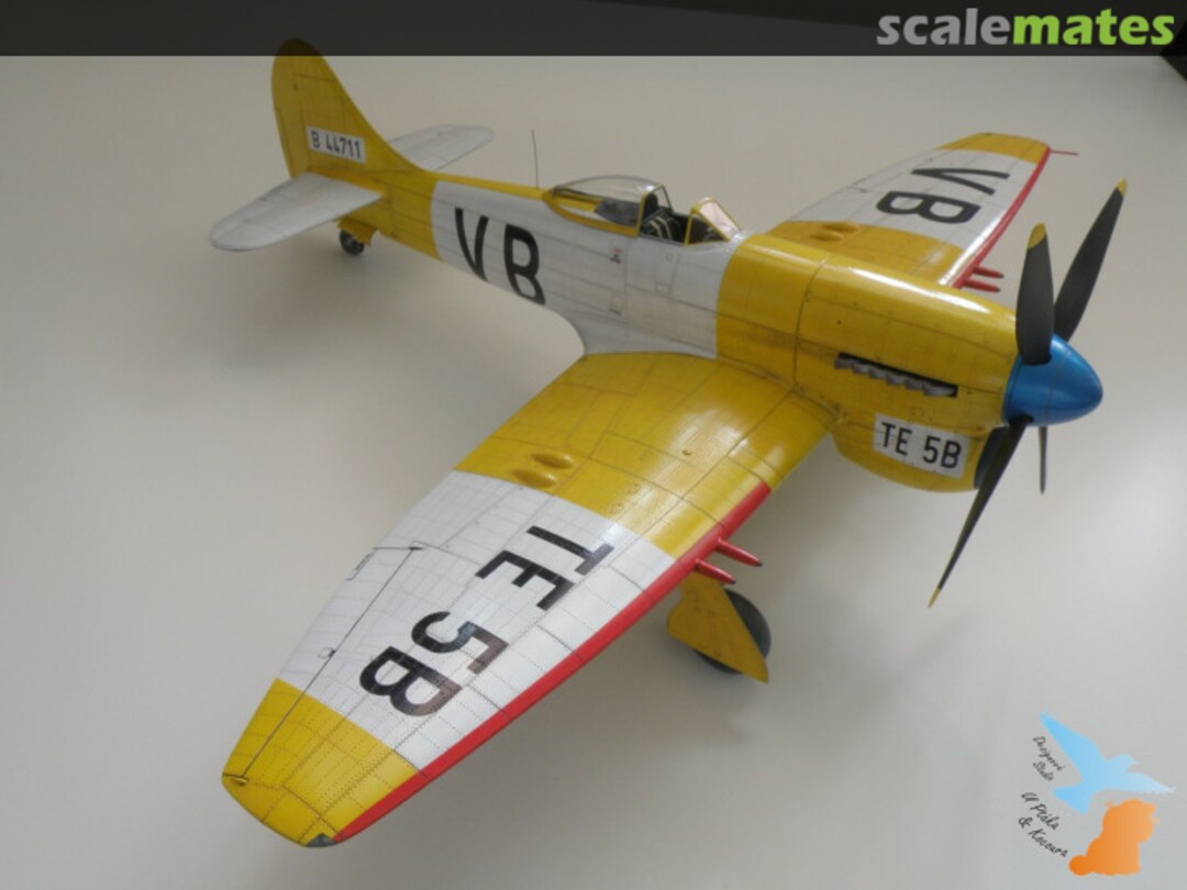 View album, image #1 View album, image #1