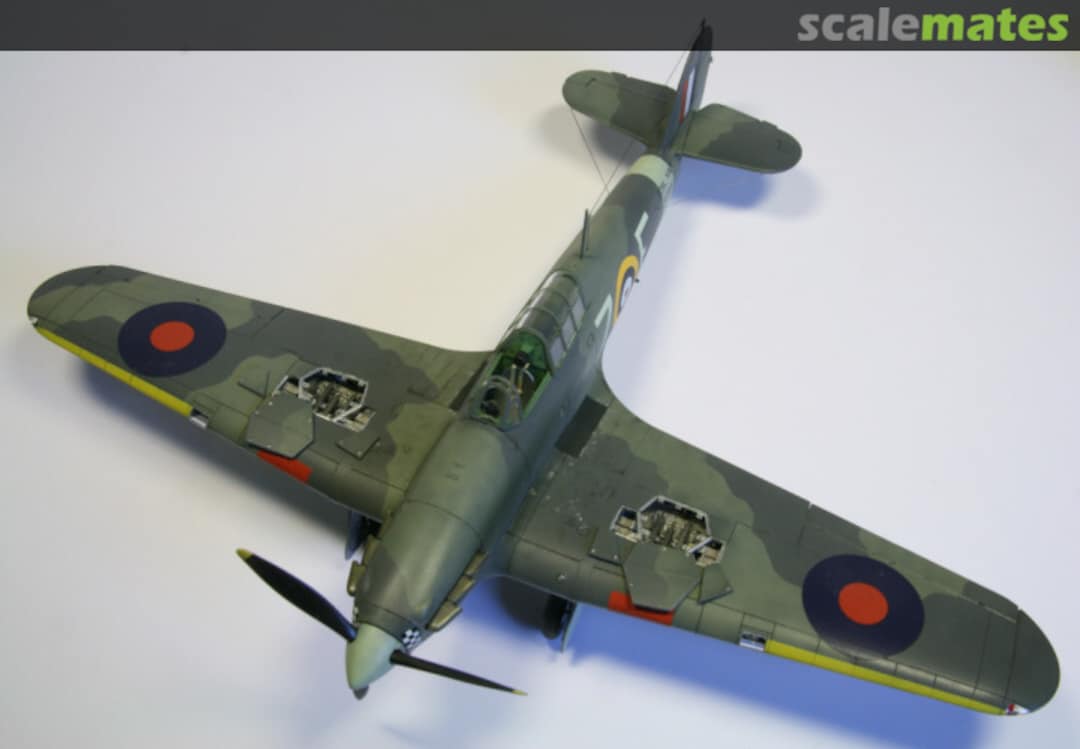 View album, image #1 View album, image #1