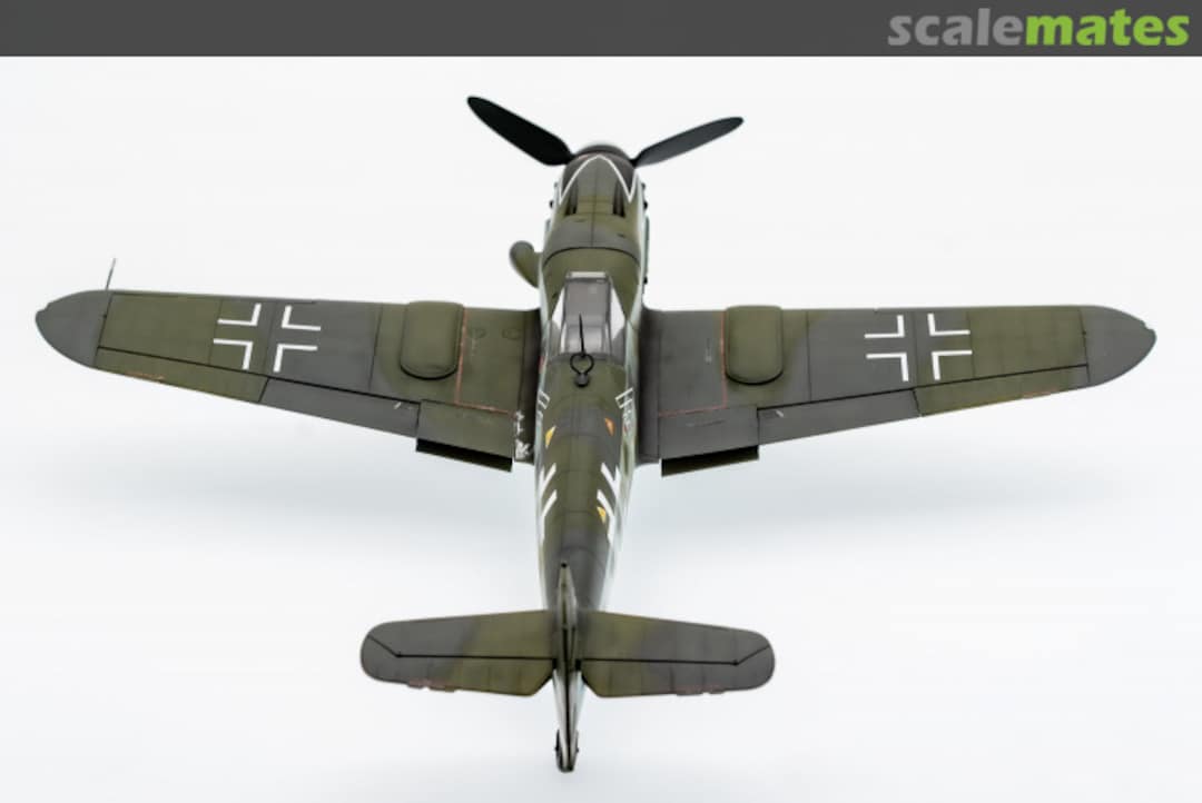 View album, image #9 View album, image #9