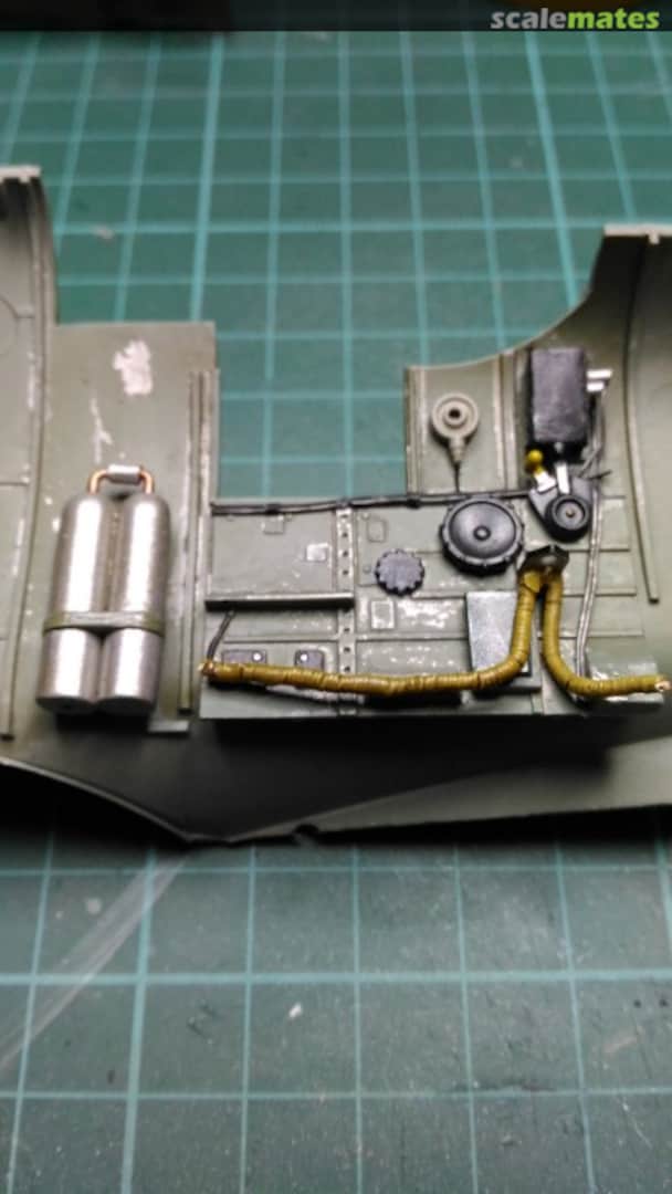 View album, image #1 View album, image #1